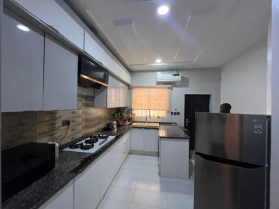 Fully Furnished 4 Bedrooms Semi Detached Duplex, Ikate, Lekki Lagos, Lekki, Lagos, Semi-detached Duplex for Rent
