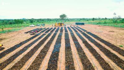 1 Acre of Palm City Farm, Palm Plantation Farm - Palm City Farm Ibadan, Iseyin, Oyo, Mixed-use Land for Sale