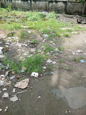 Land of Approximately 400sqm, Ikota Gra Estate, Ikota, Lekki, Lagos, Residential Land for Sale