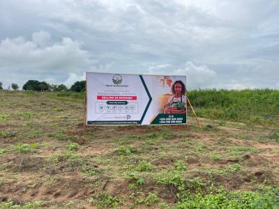 Secure Your Future with Our Cocoa and Plantain Farm Investment Opportu, 500+ Trees of Cocoa and Plantain on One Acre of Land, Abeokuta North, Ogun, Land for Sale