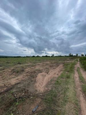Earn Yearly Income From Cocoa and Plantain Farming, Ideal for Farm to Earn Over 1m per Annum, Abeokuta North, Ogun, Land for Sale