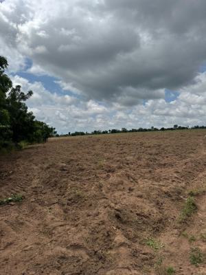 Invest in a Brighter Future with Our Cocoa and Plantain Farm Investmen, Earn Yearly Income From Cocoa and Plantain Farming, Abeokuta North, Ogun, Land for Sale