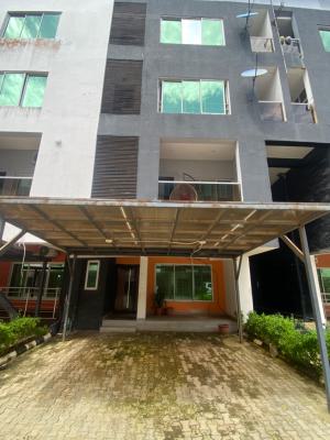 a Luxury 2 Bedroom with Bq in Ikate Nike Gallery, Ikate Elegushi, Lekki, Lagos, Flat / Apartment for Rent