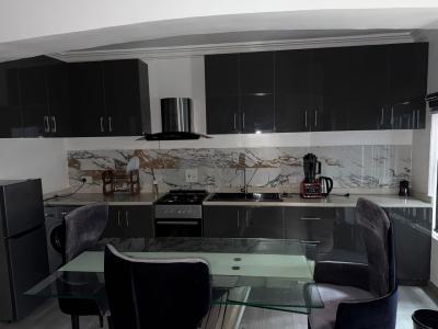 Furnished 1 Bedroom Apartment Office Space/residential, Awolowo Way, Ikoyi, Lagos, Mini Flat (room and Parlour) for Rent