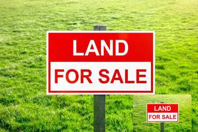 Fantastic Expanse of Dry Land, Orchid Road, Lekki, Lekki, Lagos, Land for Sale
