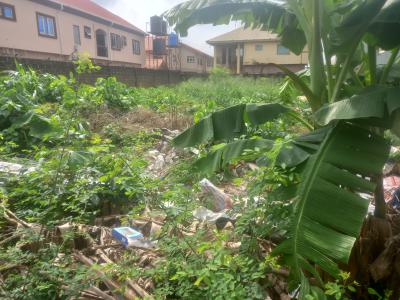 Half Plot of Land, Maplewood Estate, Oko-oba, Agege, Lagos, Residential Land for Sale