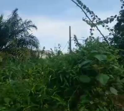 Dry Land for No Premium Jv, Akora Estate, Adeniyi Jones, Ikeja, Lagos, Residential Land Joint Venture