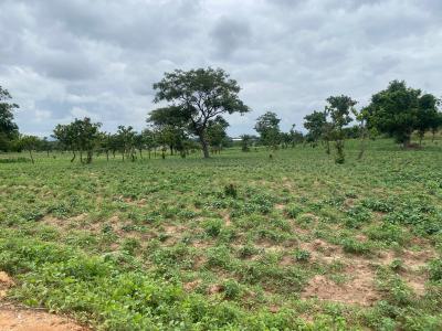 30 Hectares of Virgin Land, Guzape 2, Guzape District, Abuja, Mixed-use Land for Sale