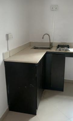 Renovated  Mini Flat with Open Plan Kitchen( Video), Hopeville Estate, Sangotedo, Ajah, Lagos, Mini Flat (room and Parlour) for Rent