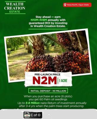 Govt Approved Palm Oil Plantation with C of O Title, Wealth Creation Estate, Yewa North, Ogun, Commercial Land for Sale