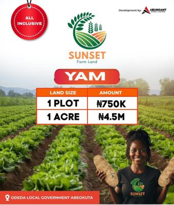 Govt Approved Palm Yam Plantation, Tesla Estates, Odeda, Ogun, Commercial Land for Sale