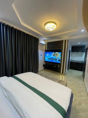 Luxurious and Well Furnished Studio Apartment, Ikate, Lekki, Lagos, Self Contain (single Rooms) Short Let
