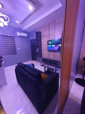 a Very Spacious 1 Bedroom, Karimu, Surulere, Lagos, Mini Flat (room and Parlour) Short Let