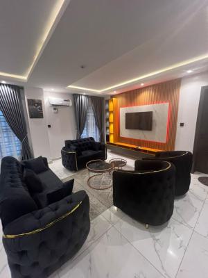 a Beautiful Spacious 2 Bedroom Apartment, Aguda, Surulere, Lagos, Flat / Apartment Short Let