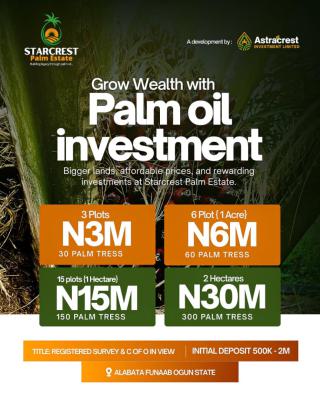 Introducing Starcrest Palm Estate --- Where Land Works for You!, Alabata, Abeokuta North, Ogun, Land for Sale