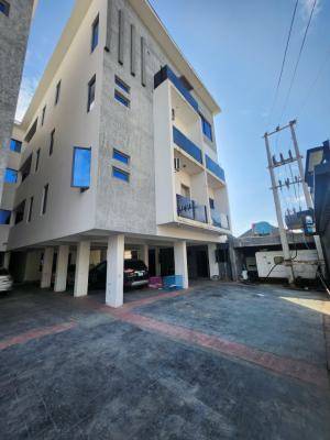 Well Maintained Spacious 2 Bedrooms Apartment, Ikate, Lekki, Lagos, Flat / Apartment for Rent