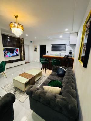 Furnished Serviced Mini Flat, Ikate, Lekki, Lagos, Mini Flat (room and Parlour) for Rent