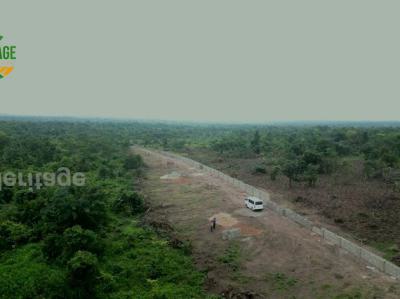 Buy Now and Start Farming on Your Own Land, Off Funaab, Alabata Road, Odeda, Ogun, Mixed-use Land for Sale
