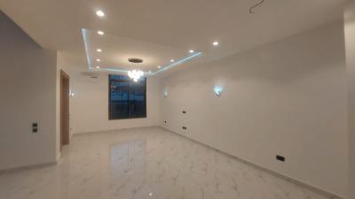 Tastefully Finished 4-bedroom Terraced Duplex with Chalet and Bqs, Asokoro District, Abuja, Terraced Duplex for Rent