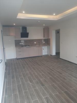 1, Victoria Island (vi), Lagos, Mini Flat (room and Parlour) for Rent