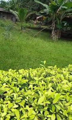 a Plot of Land, Aig Quarters, Ikorinim, Calabar, Cross River, Residential Land for Sale