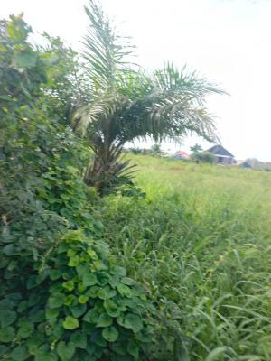 Fully Fenced and Gated 7 Plots of Bareland, Directly Fencing Lekki Epe Express Way Lakowe, Lekki, Lagos, Mixed-use Land for Sale