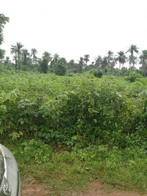 800 Estats  Land for Farming with a Registered Survey Plan in Ogun, Milebrook Farm City Via Ipara Ogere Rd, Obafemi Owode, Ogun, Mixed-use Land for Sale