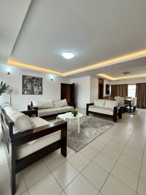 Cozy Spacious Fully Furnished 3 Bedroom Flat, Victoria Island (vi), Lagos, Flat / Apartment for Rent