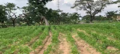 Fenced Bare Land Measuring 1,042.10sqm, Kaura, Abuja, Residential Land for Sale