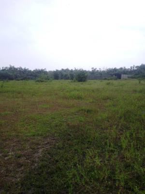 Ready-to-build 570sqm Land, Elesekan Bus Stop, Close to Beachwood Estate, Ibeju Lekki, Lagos, Mixed-use Land for Sale