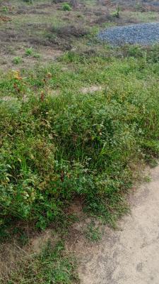 Mixed Use Land, Sangotedo, Ajah, Lagos, Mixed-use Land for Sale