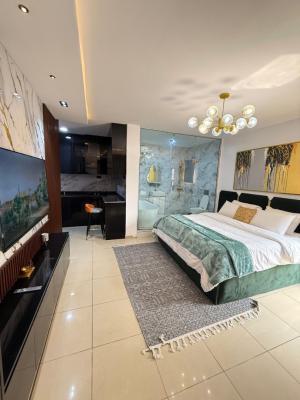 Executive Studio Apartment with Pool and Gym, Very Spacious, Osapa, Lekki, Lagos, Self Contain (single Rooms) Short Let