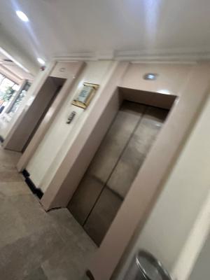 Spacious Mini Flat, Victoria Island, Victoria Island (vi), Lagos, Flat / Apartment for Rent