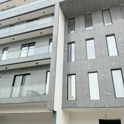 Executive Two(2) Bedroom Maisonette with 1bq, in Ikoyi, Ikoyi, Lagos, Flat / Apartment for Rent