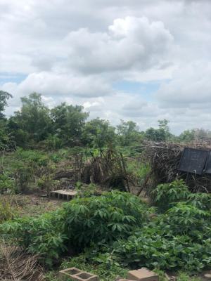 Affordable Farm Land with High Returns on Investment, Off Funaab, Alabata Road, Odeda, Ogun, Mixed-use Land for Sale
