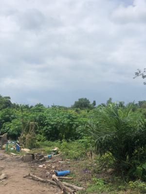 Make N3m Annually From Cassava Farming, Off Funaab, Alabata Road, Odeda, Ogun, Mixed-use Land for Sale