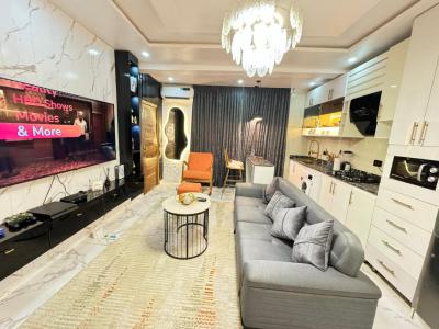 Luxury Tastefully Furnished 1bedroom Serviced Apartment, in a Proper Secured Serviced Estate, Ikate, Lekki, Lagos, Mini Flat (room and Parlour) for Rent