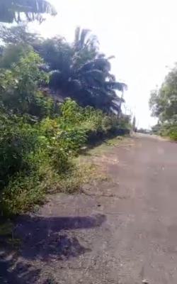 Land Measuring 1500 Sqm at Ajoke Estate, Jericho Ibadan., Ajoke Estate, Jericho, Ibadan, Oyo, Residential Land for Sale