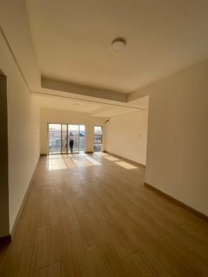 2bedroom Apartment Well Luxury and Spacious, Ikate, Lekki, Lagos, Flat / Apartment for Rent