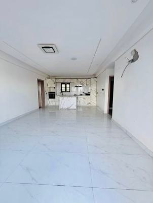 Luxury 2 Bedroom Penthouse with Rooftop Space, Ologolo Lekki, Lekki, Lagos, Flat / Apartment for Rent