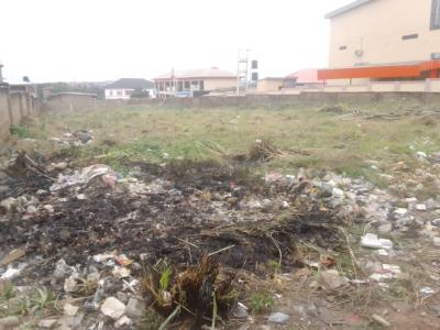 1300sqm Commercial Land in  a Good Location, Facing The Main Road By Iris Mall, Apata, Ibadan, Oyo, Commercial Land for Sale