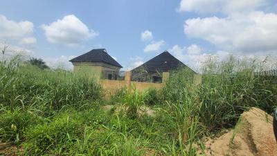 Most Affordable C of O Land with Up to 24 Month Payment Plan, Orile Imo, Around International Breweries By Shagamu Interchange, Mowe Ofada, Ogun, Residential Land for Sale