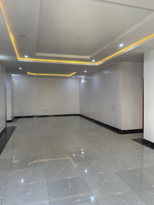 Luxury Service 2 Bedrooms, Chevron Drive, Lekki Expressway, Lekki, Lagos, House for Rent