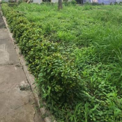 3200sqm Land Available, Gra, Ikeja, Lagos, Residential Land for Sale