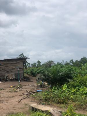Affordable Farmland Ready for Farming and Investment, Off Funaab, Alabata Road, Odeda, Ogun, Mixed-use Land for Sale