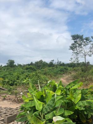 Earn Yearly From Plantain Plantation, Off Funaab, Alabata Road, Odeda, Ogun, Mixed-use Land for Sale