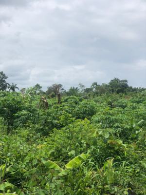 Earn Yearly From Cassava Plantation, Off Funaab, Alabata Road, Odeda, Ogun, Mixed-use Land for Sale