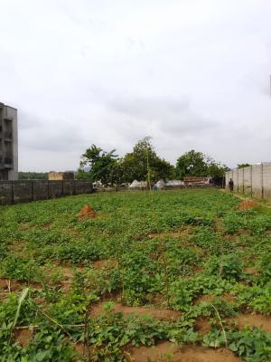 Land  Size: 1,000m²  Title: Fcda C of O & R of O, Wuye, Dakibiyu, Abuja, Land for Sale