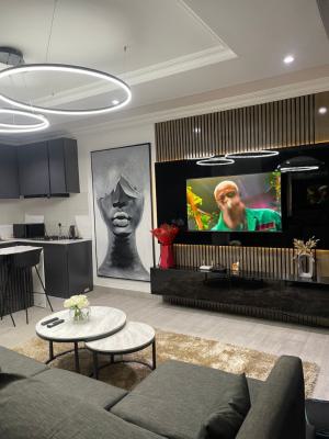 Luxury 1 Bedroom Apartment, Lekki Phase 1, Lekki, Lagos, Flat / Apartment Short Let