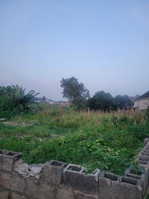 Nice 800sqm Land in a Good Location, Gwarinpa, Abuja, Mixed-use Land for Sale